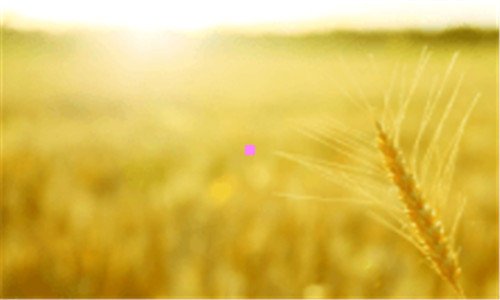 二亚航在线客服联系不上