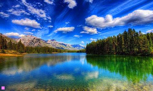 三marshal包什么档次