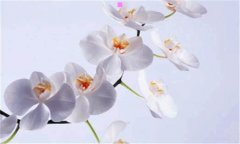 不干胶贴-不干胶材料厂家直销