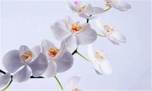 一不干胶贴