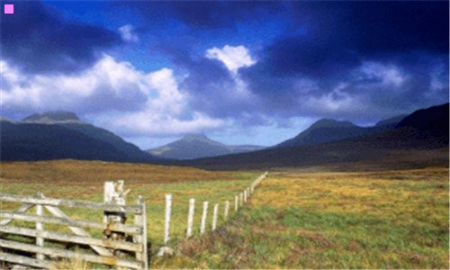 三作文方格子图片