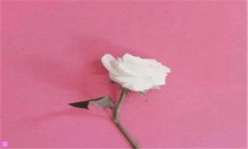 三佛学入门看什么书