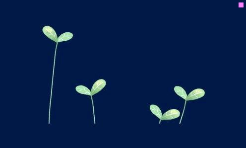 三淘宝的旅游网站叫什么