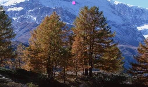 三希尔顿酒店的市场细分