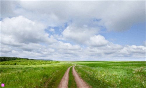 一吉祥纹莲花楼