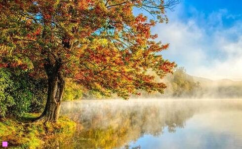 一宜兴紫砂底款判断年代