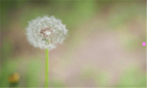二王菲的为人