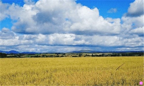 一昆山一周天气预报