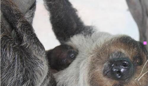 三上海打折特卖网