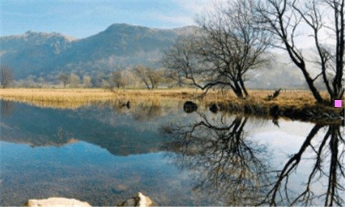 二2020年三水西南中心小学报名