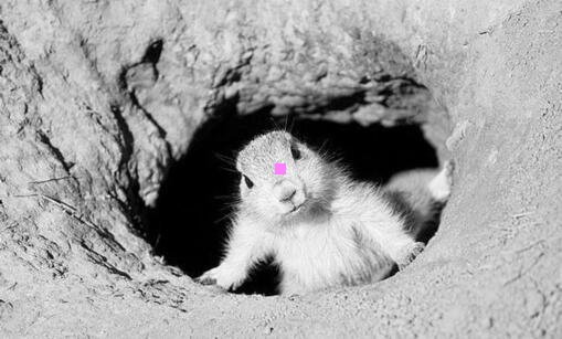 三呈贡花香满径交房最新消息