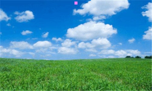 二梅花资料简介