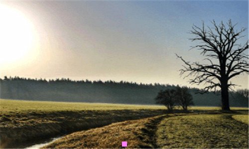 二瑞昱网卡驱动