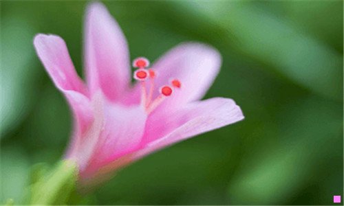 二北京宅鲜配电子商务有限公司