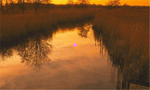 二黑白通吃的人有多厉害