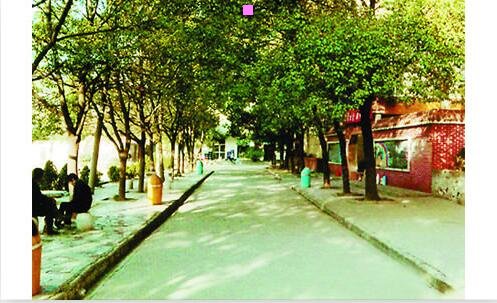 三上海动物园门票当天可以买吗