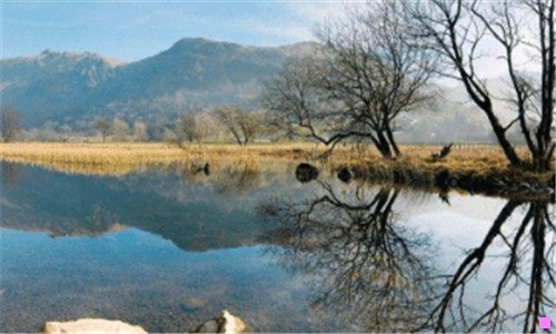 二花墨染小说免费阅读