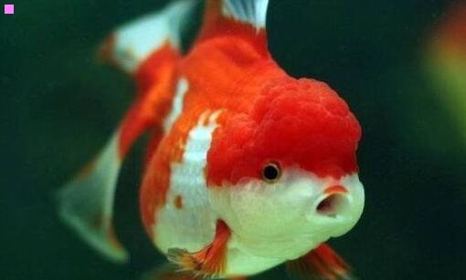 二年轻人创业交流微信群