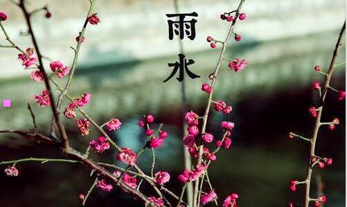 一东郊椰林