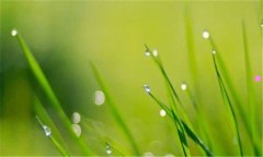 晋中市天气预报-晋中最近三天天气预报