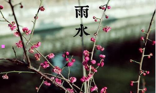 三723动车事故的秘密天涯