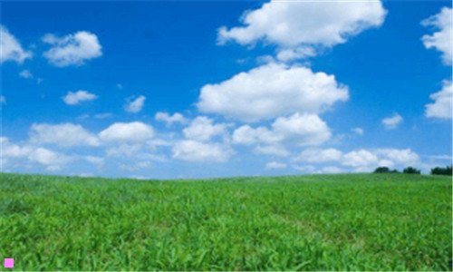 一贾登史密斯