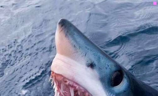 一水族馆