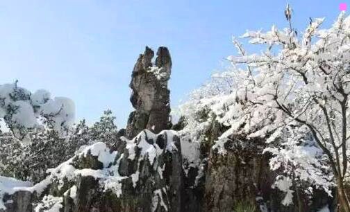 一全职家丁