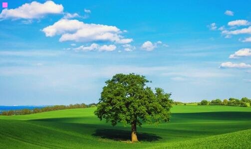 二伏特加波波沙什么梗