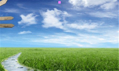 三十号完美世界