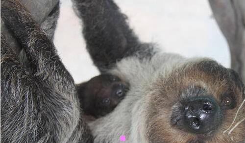 三北京家纺市场在哪里