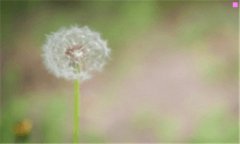 变化无常-时态变化无常的意思
