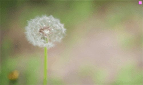 一变化无常