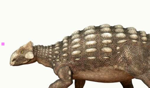 三南京机场大巴时刻表2020