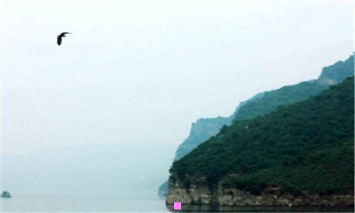二什么样的碎瓷片最值钱