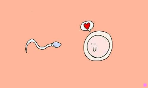 二三台电信路位置