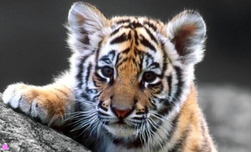 三秦皇岛蔚蓝海岸项目