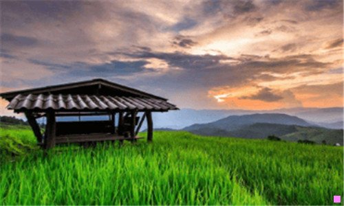 二小时代台词经典独白