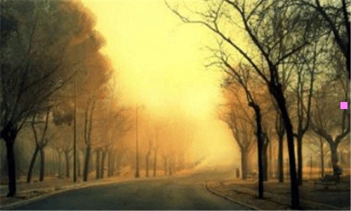 二宜家百度百科