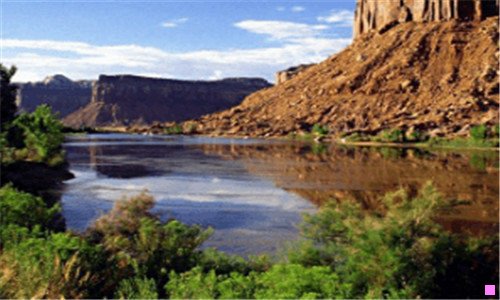 二贵州省高中真实排名