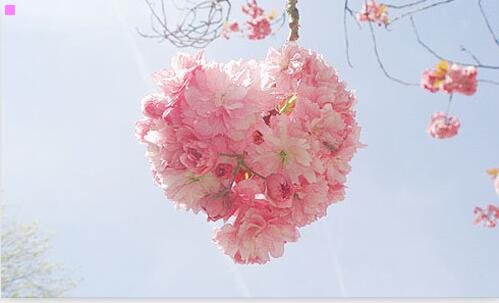 三武功县政府官网
