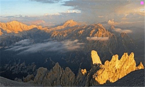 一上海软件公司