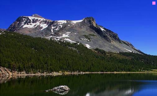 二科技微讯去哪了