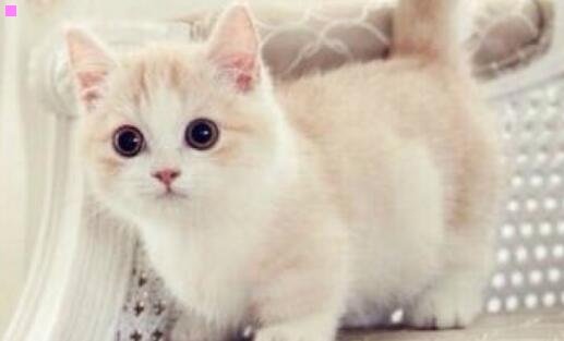 一汕头世纪明辉购物广场招聘