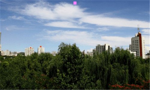 二菖蒲河公园性