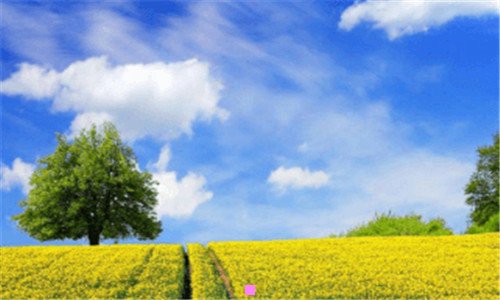 三马甸公园篮球场