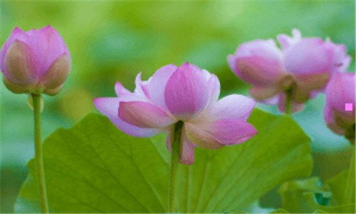 三胶卷发明