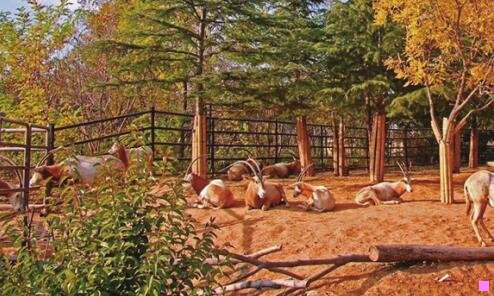 三引发与引起的区别