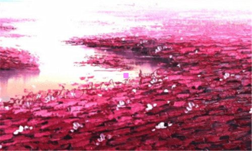 二中国朗诵大师排名