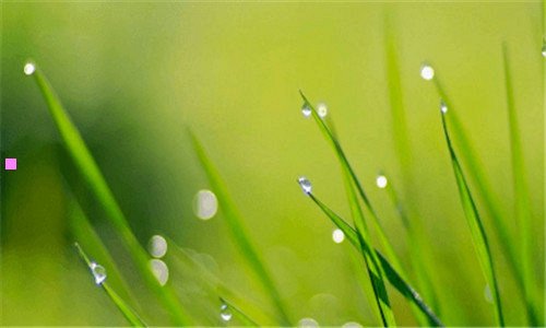 一最新的浏览器
